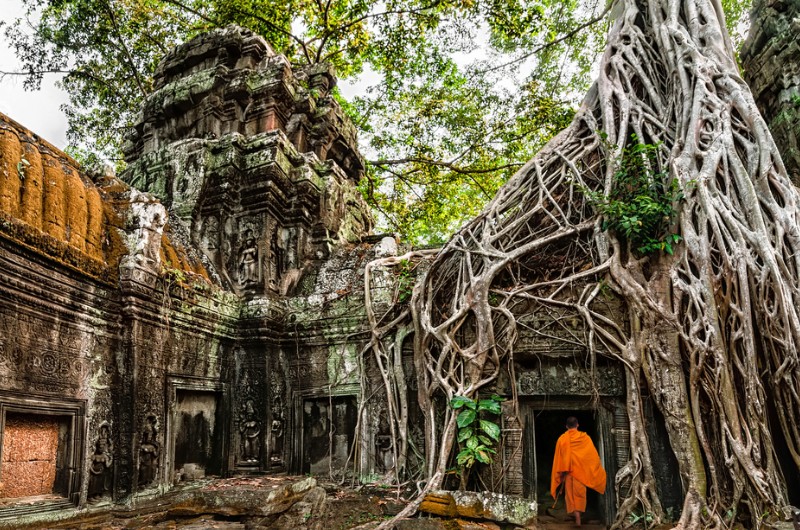 siem reap, cambodge, voyage, asiatica travel, temple, angkor, ta prohm