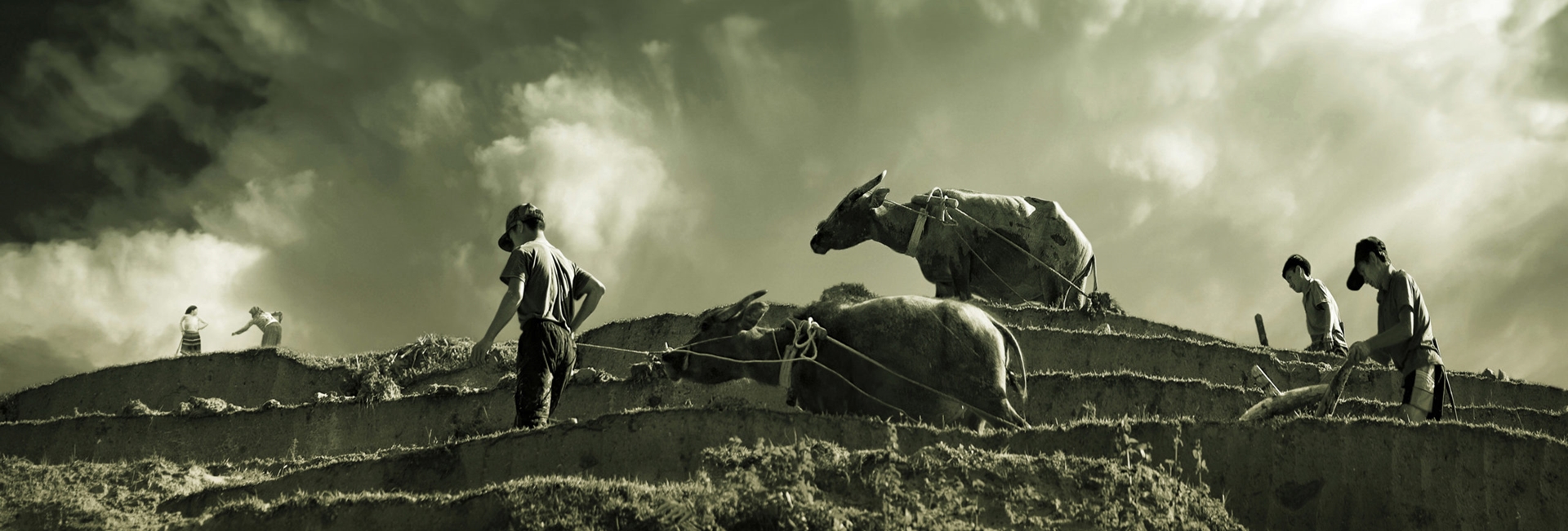 Randonnée et Trekking
