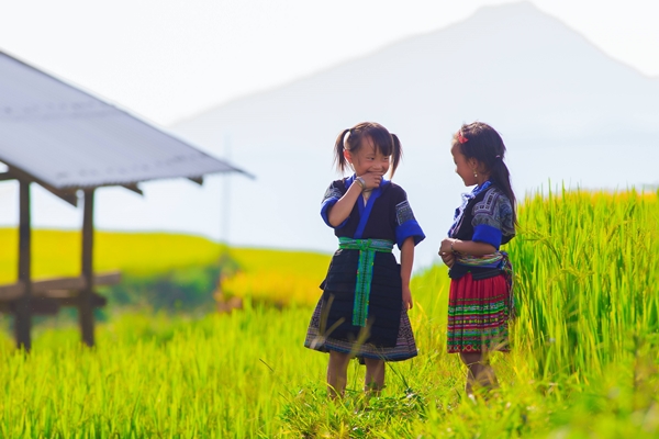 Visite des rizières du Vietnam