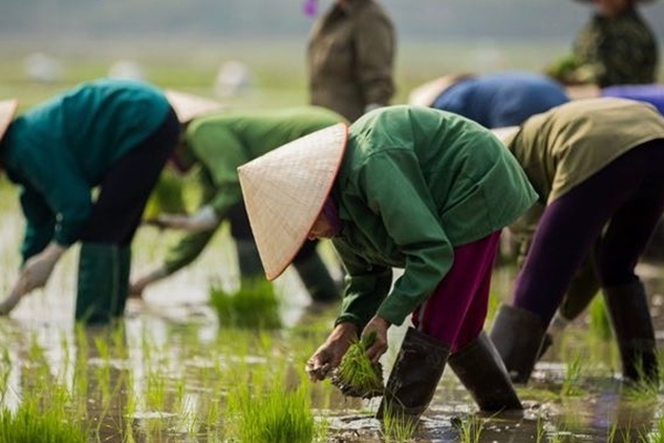Circuit Vietnam Cambodge Laos 