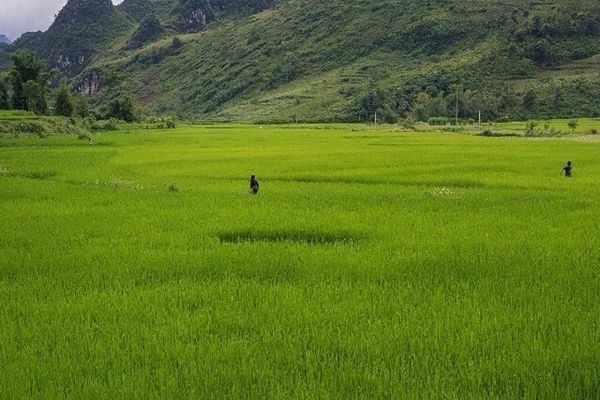 Rando au Nord-est du Vietnam