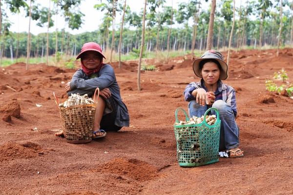 Trek & nature au Cambodge