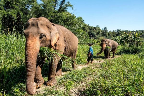 Thaïlande du Nord au Centre