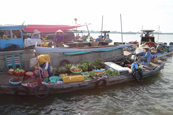 Vietnam du Sud au Nord