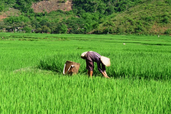 Visite du Vietnam en 3 semaines