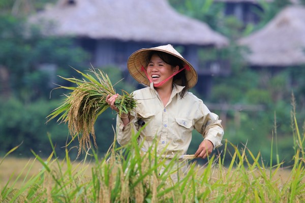 Circuit Vietnam haut de gamme