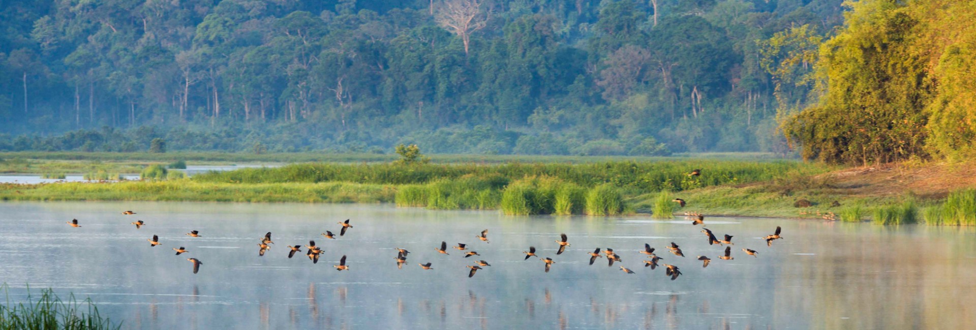 Les 10 meilleurs parcs nationaux au Vietnam