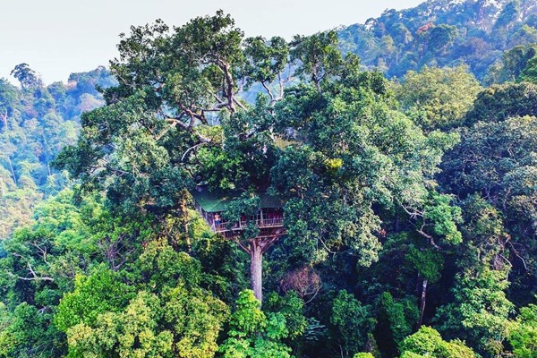 Guide Complet pour Visiter Bokeo, Laos 2026