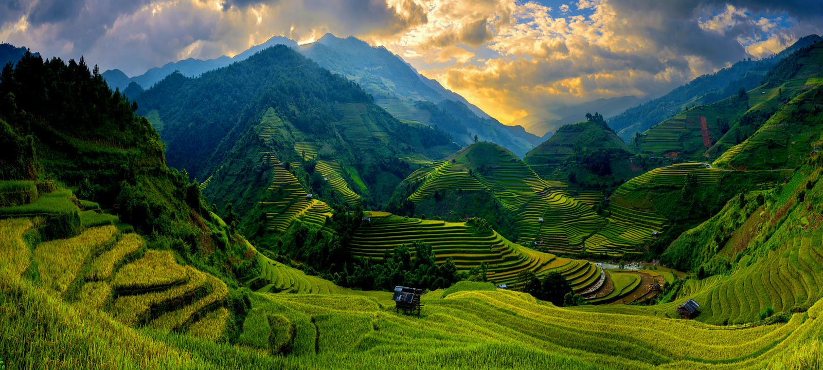 Les 16 Meilleures Images De Paysage Vietnam Paysage Vietnam