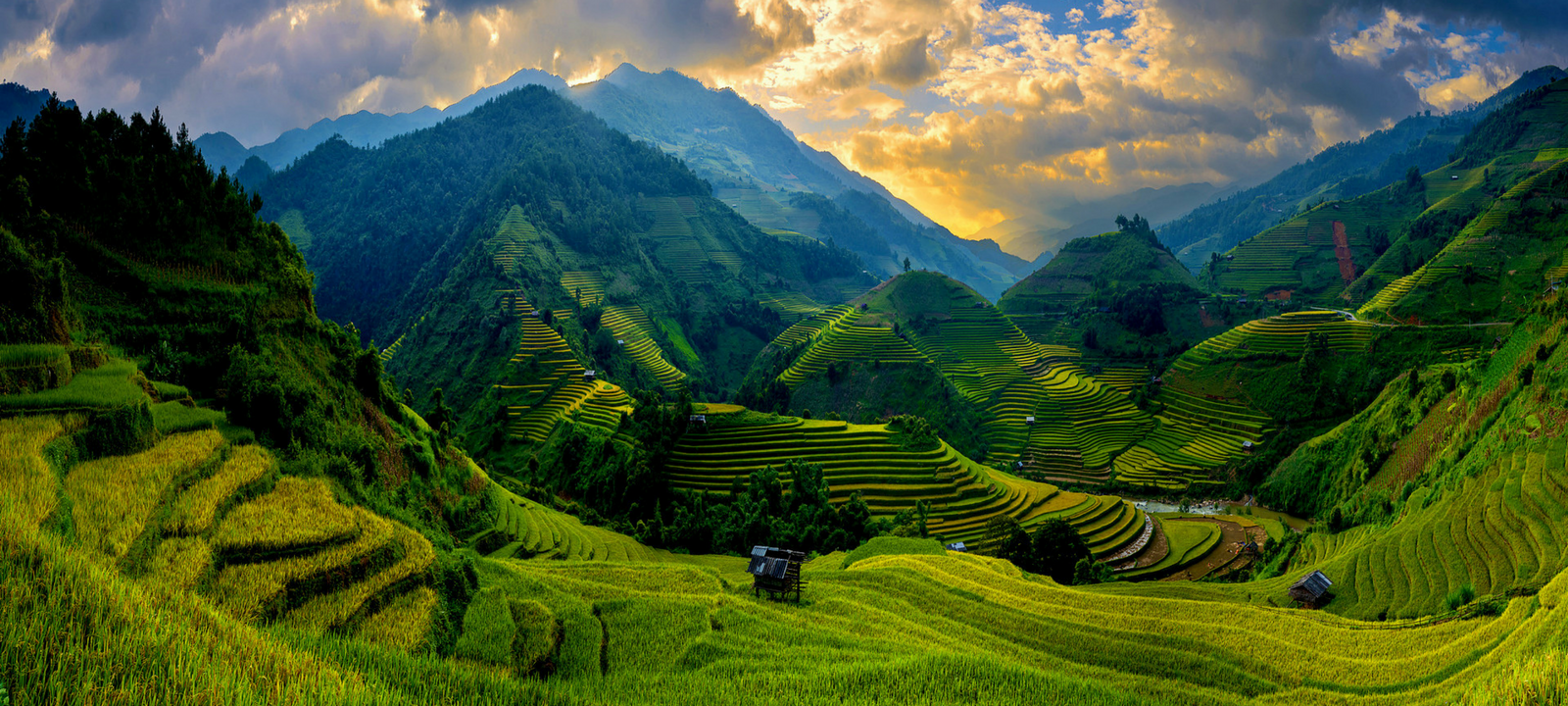 vietnam paysage