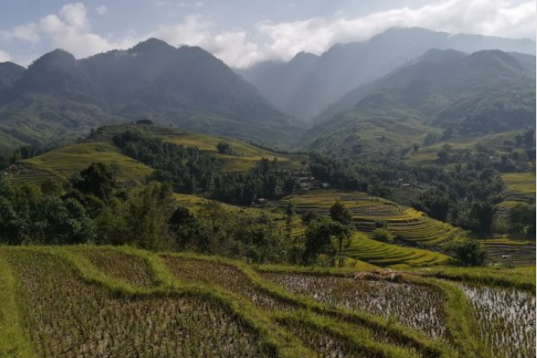 Les plats uniques à Sapa