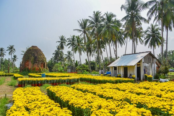 Sa Dec, Vietnam : Guide complet de voyagea
