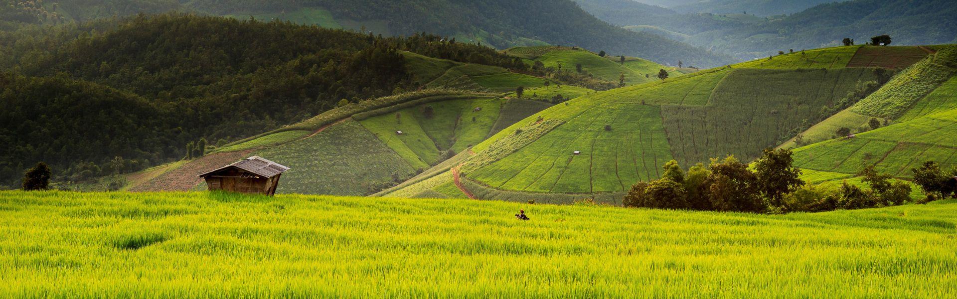 Chiang Mai : Tout ce qu'il faut savoir 