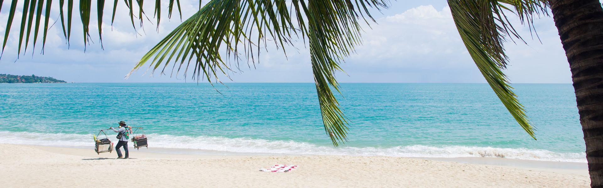 Koh Samui : Tout à savoir pour bien profiter de cette île de Thaïlande