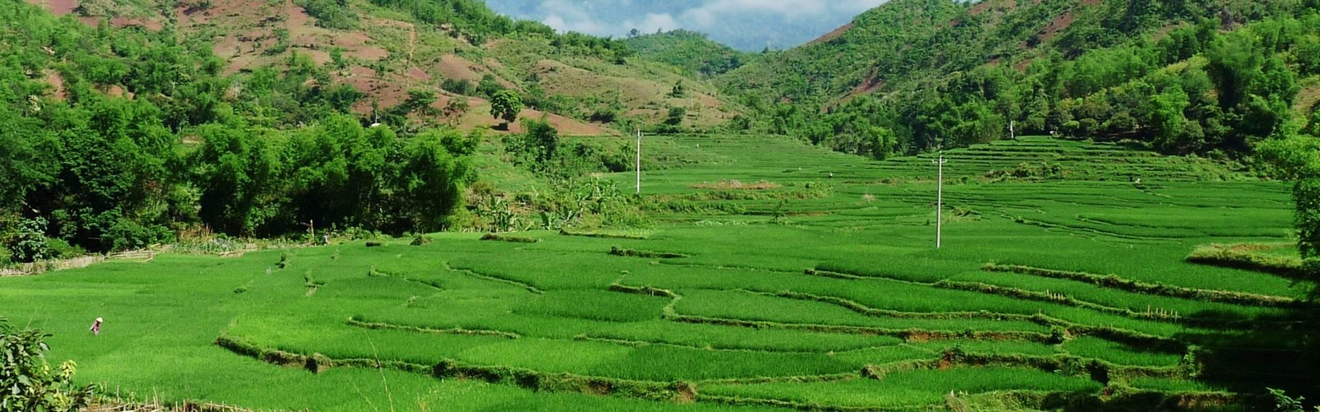 Pu Luong Vietnam : Tout à savoir avant de partir en voyage
