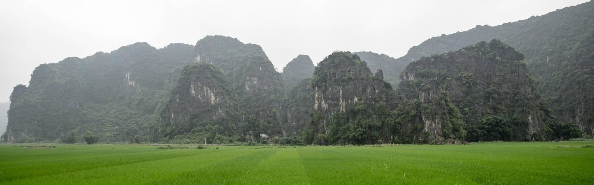 Voyage Ninh Binh - la baie d’Along terrestre avec des paysages spectaculaires