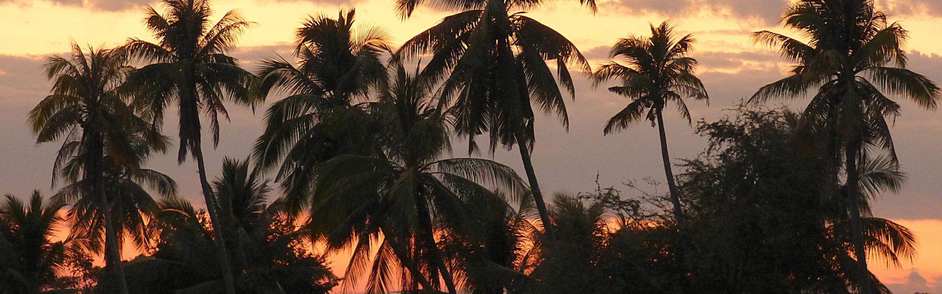 Les 4000 îles au Laos : Guide complet pour une séjour en sérénité