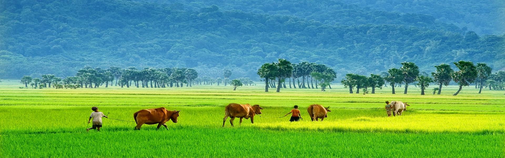 Chau Doc Vietnam : Tout ce qu'il faut savoir avant votre voyage