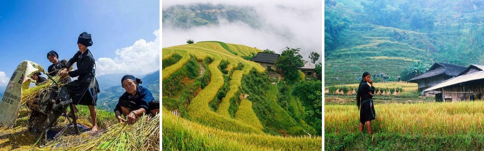 Trekking à Hoàng Su Phì
