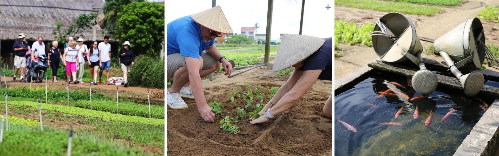 Le village de Tra Que à Hoi An