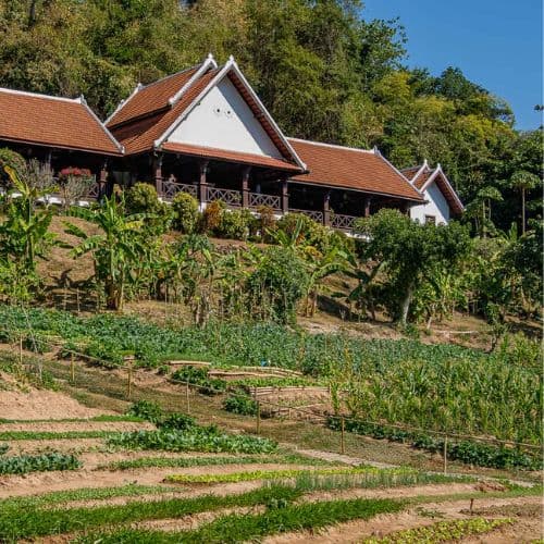 Sanctuary Pakbeng Lodge