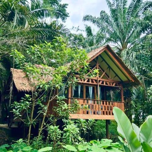 Khao Sok Paradise - Treehouse STD