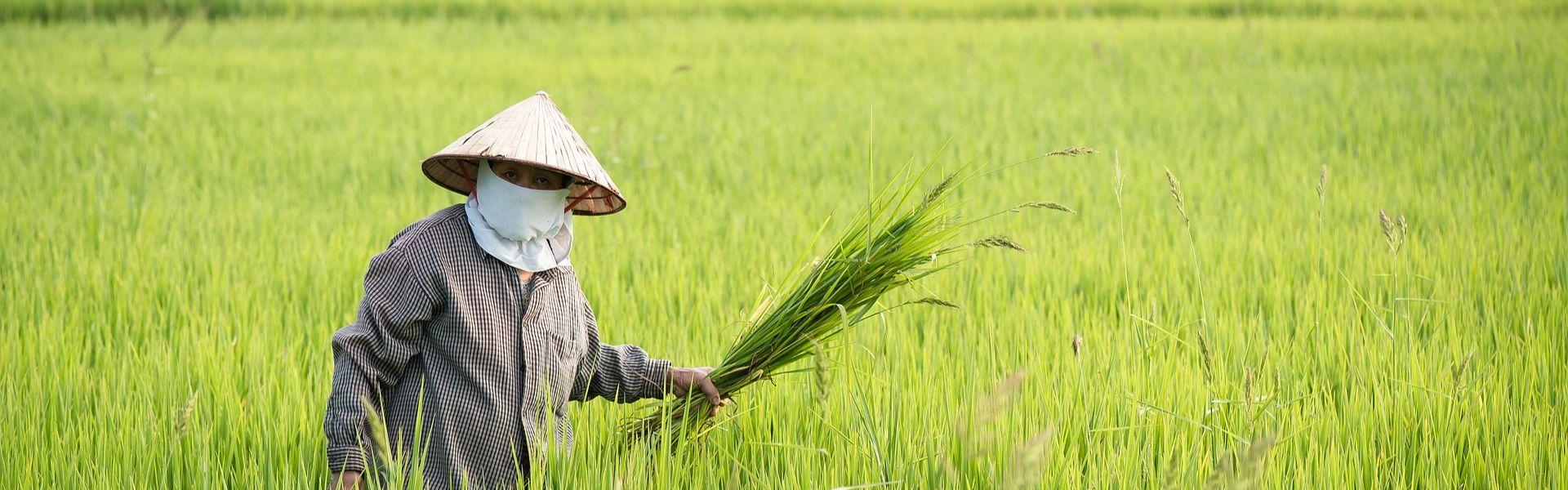 Vacances Vietnam & Thaïlande