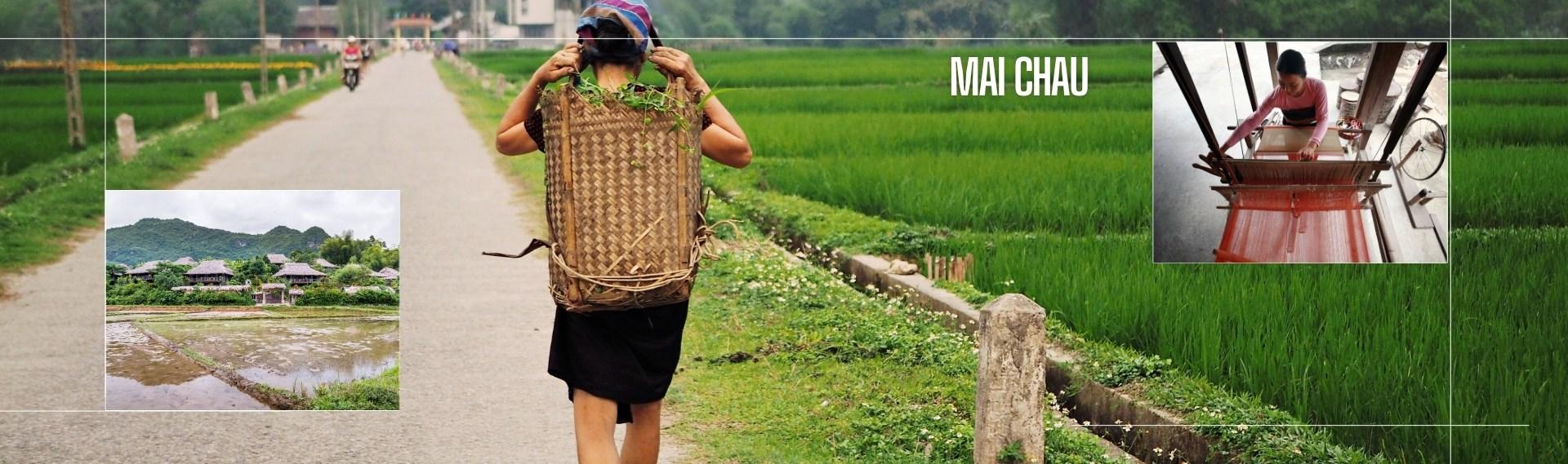 Dien Bien Phu entre histoire et nature