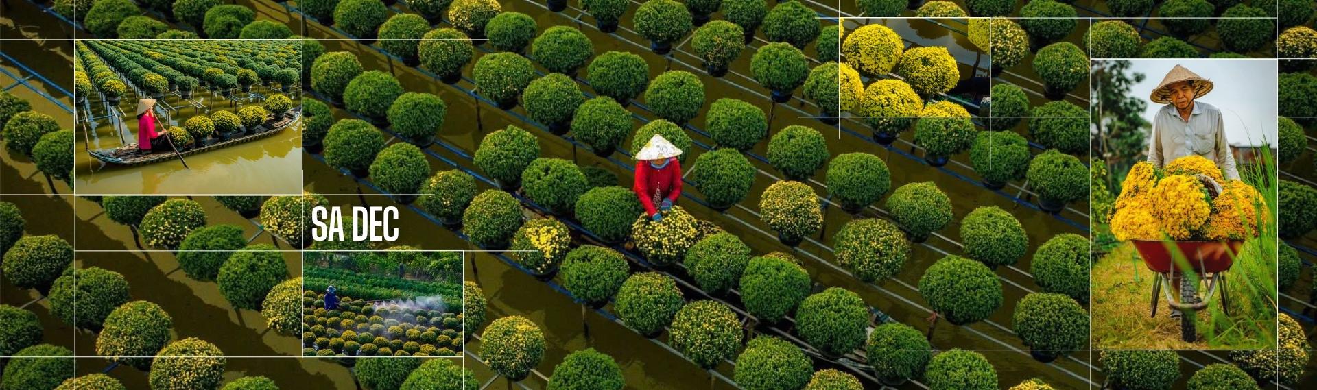 Vietnam pour les enfants curieux