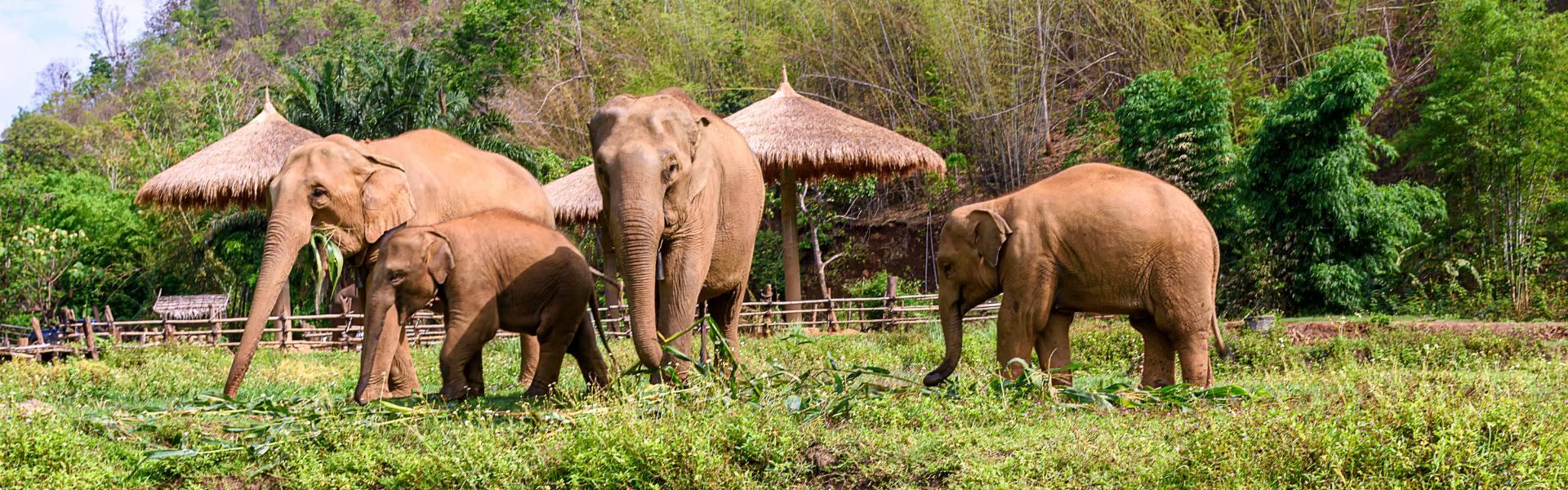 Visite du Centre de la Thaïlande