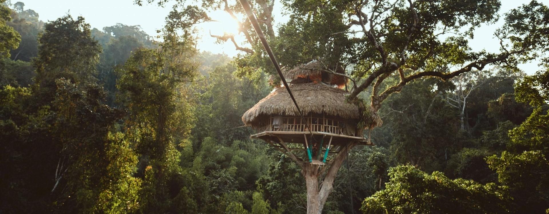 Guide Complet pour Visiter Bokeo, Laos 2026