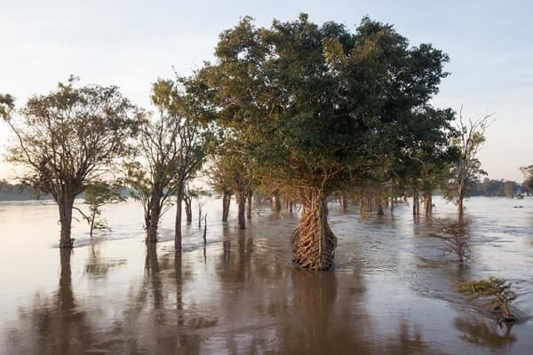 Jour 07 : Tadlo - Champasack - Ile de Khong