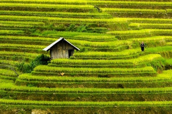 Jour 03 : Muong Lo - Mu Cang Chai 