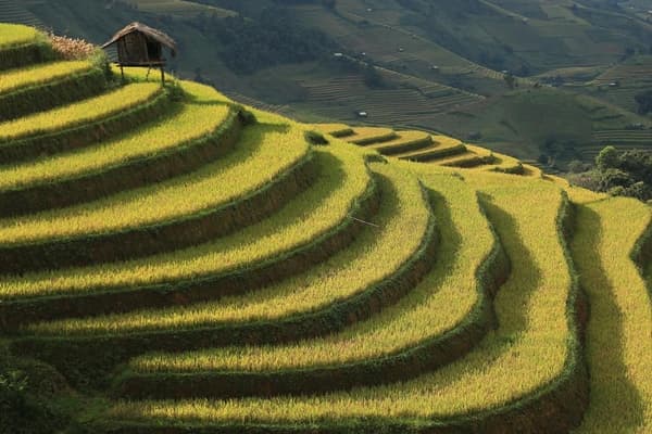 Jour 04 : Mu Cang Chai - Sapa - Tavan