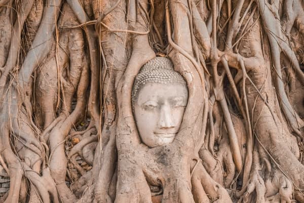 Jour 05 : Ayutthaya - Bang Pa-In - Bangkok - Vol pour Chiang Rai