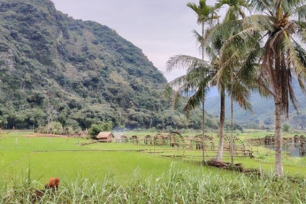 Jour 04 : Mai Chau - Pu Luong