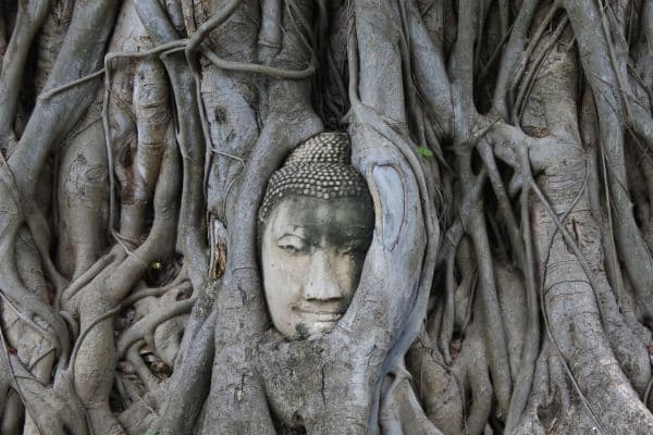 Jour 17 : Ayutthaya - Bang Pa-In - Bangkok