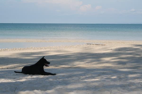 Jour 09, 10 : Koh Rong libre