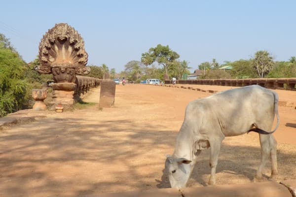 Jour 05 : Siem Reap - Phnom Penh