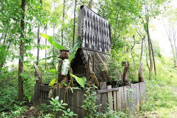 Jour 07 : Rattanakiri, promenade dans la nature