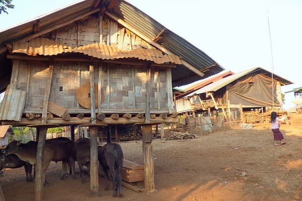 Jour 07 : Luang Nam Tha - Chutes de Nam Dee
