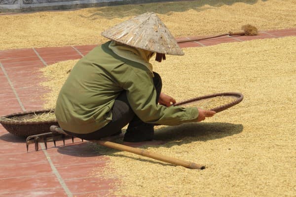 Jour 12, 13 : Hoi An