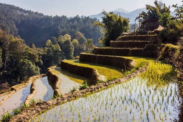 Jour 18 : Sapa - Y Linh Ho - Lao Chai - Tavan - Sapa - Hanoi