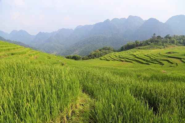 Jour 15 : Mai Chau - Pu Luong