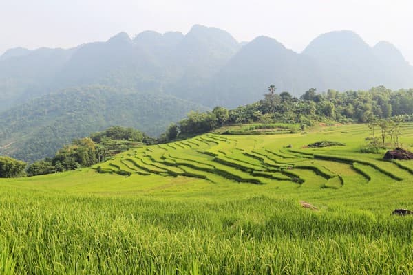 Jour 04 : Pu Bin - Pu Luong