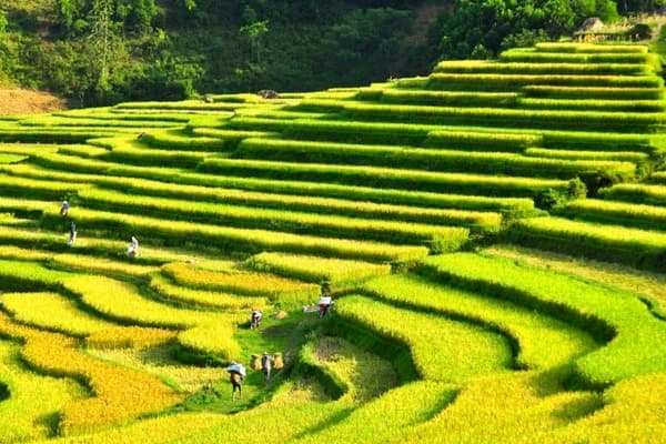 Jour 04 : Mai Chau - Pu Luong