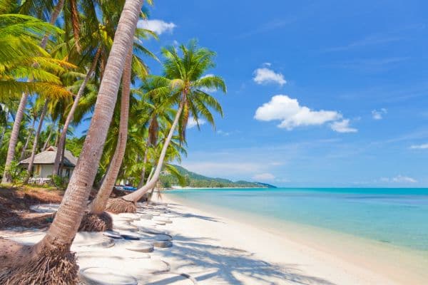 Jour 12 : Chiang Mai - Vol pour Koh Samui