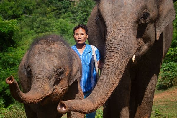 Jour 10 : Mae Win - Chiang Mai