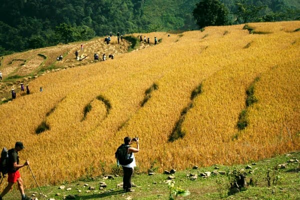 Jour 06 : Ha Thanh, journée de trekking