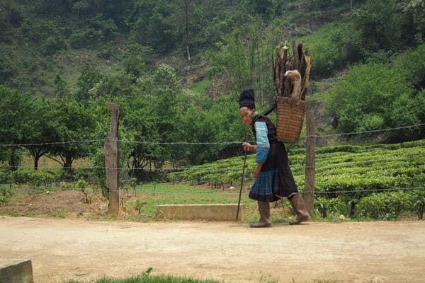 Jour 07 : Ha Giang - Dong Van